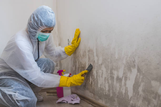Best Emergency Mold Removal  in Forest Park, GA