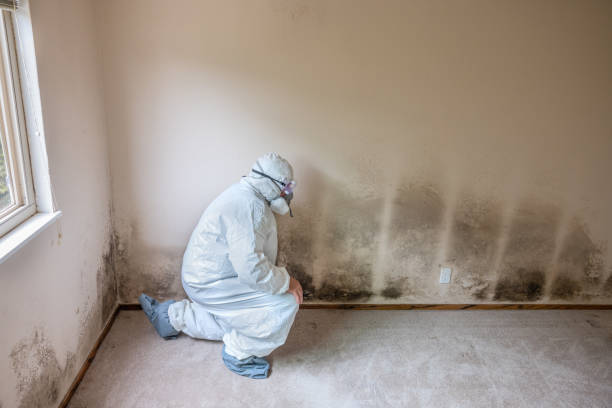 Crawl Space Mold Removal in Forest Park, GA
