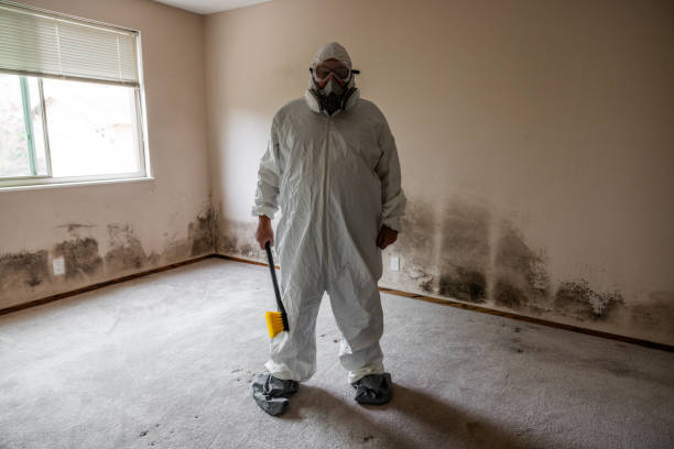 Best Emergency Mold Removal  in Forest Park, GA
