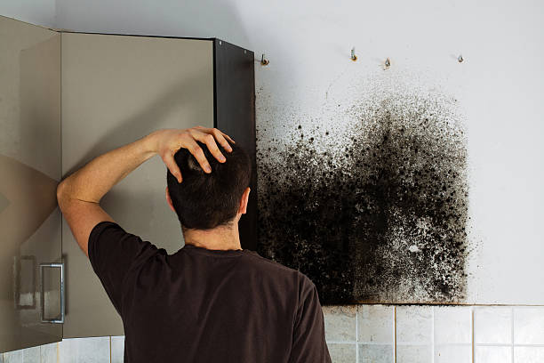 Best Mold Testing  in Forest Park, GA