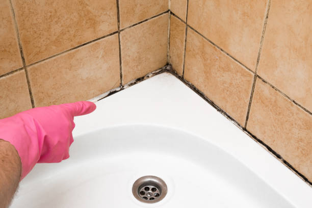 Best Mold Remediation Services  in Forest Park, GA